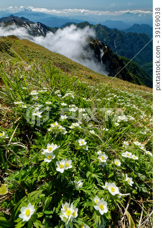 Joetsu Border，Senno Kurayama Hakusanichige和Cloudy Mountains 39169038