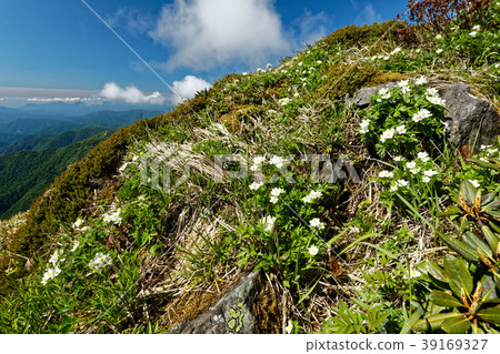 Joetsu Border，Senno Kurayama Hakusanichige和Cloudy Mountains 39169327