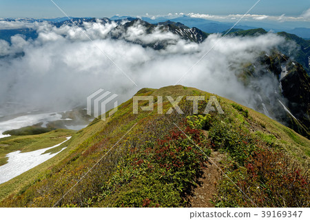 Cloudy border ridge line seen from Tanigawa mountain range, Sennokurayama 39169347