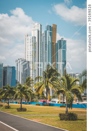 skyscaper buildings and palm trees - Panama City skyscaper buildings and palm trees - Panama City 39169816