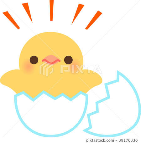 A chick hatched from an egg 39170330