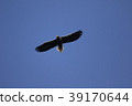 聖梨 39170644