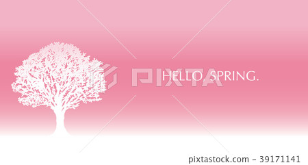 Cherry tree background in full bloom 39171141