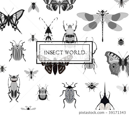 Monochrome butterfly and bug seamless pattern 39171343