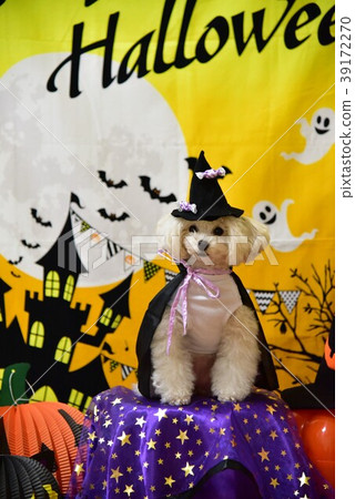 狗和萬聖節 39172270