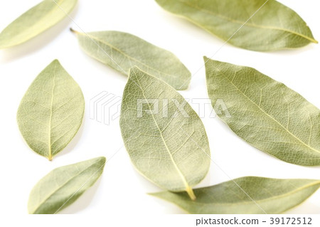 月桂葉 39172512