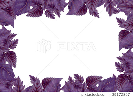 Rectangular frame, a decoration of Basil leaves. 39172897
