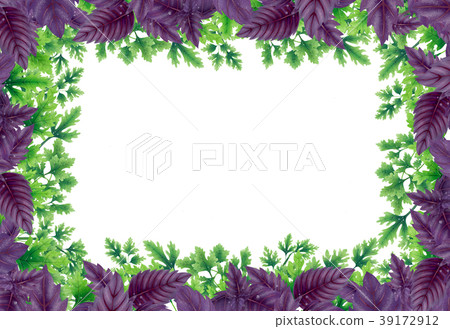 Illustration frame of Basil and parsley leaves. Illustration frame of Basil and parsley leaves. 39172912