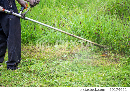 The gardener cutting grass by lawn mower The gardener cutting grass by lawn mower 39174631