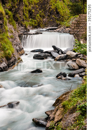 Vertical view of lake Plansee with dandelions 39175295