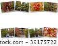 beautiful autumn landscape with reflections in the 39175722