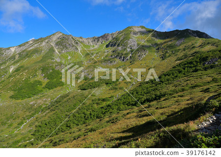 Ashigatake山的山路 Ashigatake山的山路 39176142