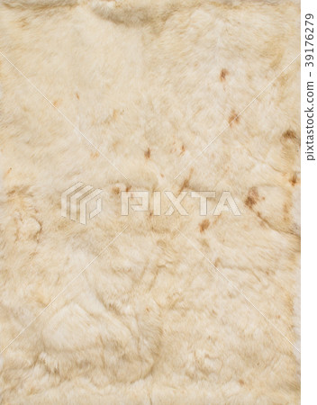 Beige leathers of rabbits, four pieces together 39176279