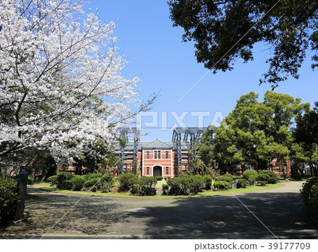 Kumamoto Earthquake Damage: Goko Memorial Hall under restoration and cherry blossoms in full bloom Kumamoto Earthquake Damage: Goko Memorial Hall under restoration and cherry blossoms in full bloom 39177709