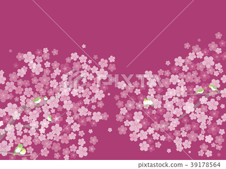  Cherry blossoms and birds 39178564