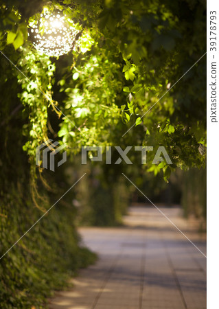 Parc del Centre del Poblenou 39178793