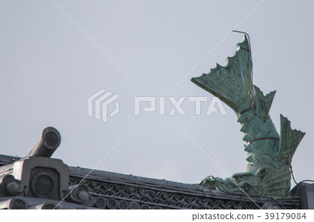 虎鯨派克 39179084