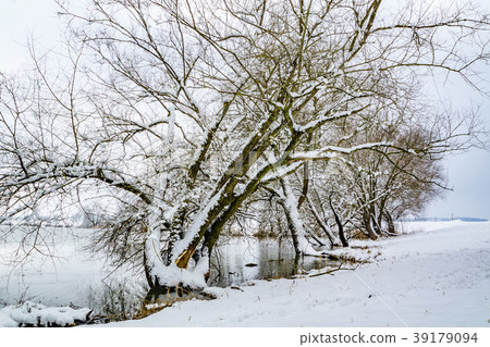 Part frozen pond and path around it in the winter Part frozen pond and path around it in the winter 39179094