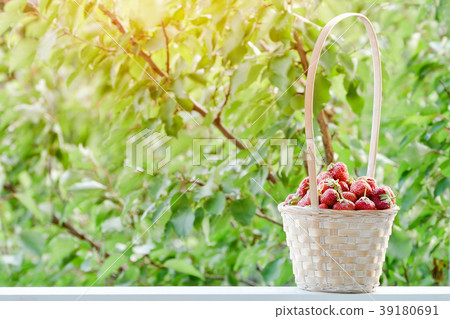 Strawberry basket on a green background Strawberry basket on a green background 39180691
