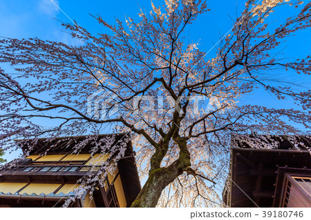 Kyoto Spring Sannosaka (Mennisaka) Kyoto Spring Sannosaka (Mennisaka) 39180746