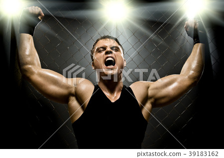 fighter fighter 39183162