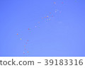 Balloon 39183316