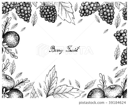 Hand Drawn Frame of Black Crowberry and Blackberry 39184624