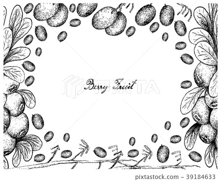 Hand Drawn Frame of Blueberry Flax Lily and Cranbe 39184633
