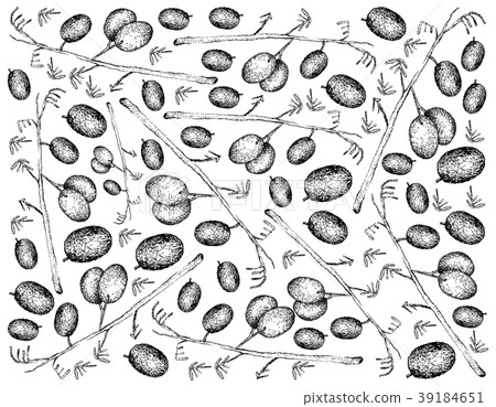 Hand Drawn Background of Blueberry Flax Lily Fruit 39184651
