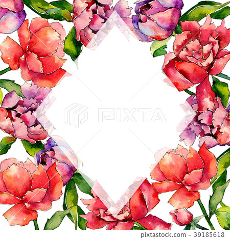 Wildflower peony flower frame in a watercolor - Stock Illustration  [39185618] - PIXTA