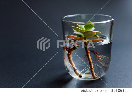 Side view of the glass flask with clean water and 39186303