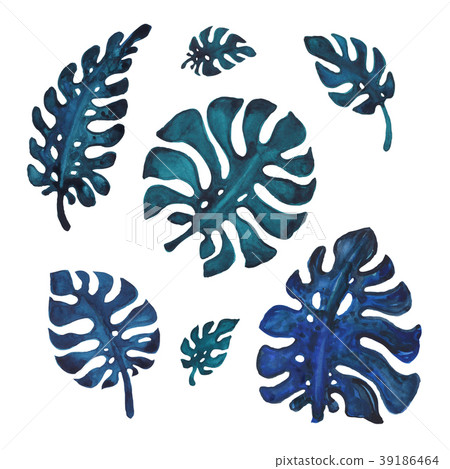 Tropical Palm leaves, watercolor illustration 39186464