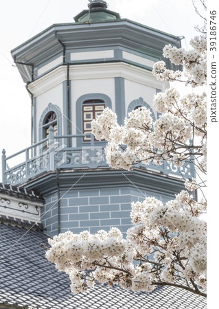 Matsumoto Former Chi Chi school Sakura 39186746