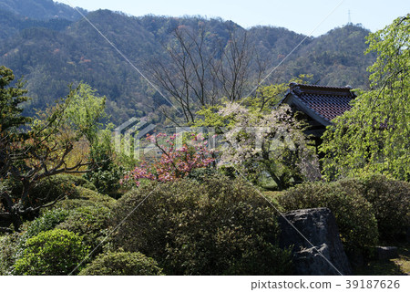 Tottori Four seasons walk Spring Flower Plant Tokoji Temple Tottori Four seasons walk Spring Flower Plant Tokoji Temple 39187626