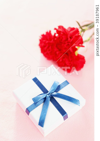 Carnation Carnation 39187961