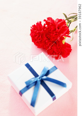 Carnation Carnation 39187962
