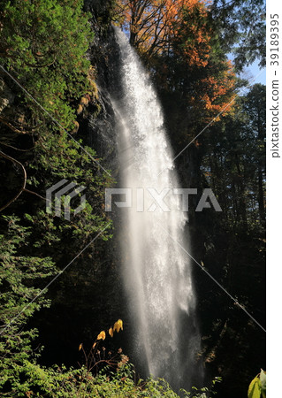 Side of autumn Kiyotaki 39189395