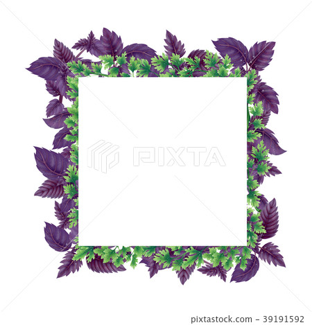 Illustration frame of Basil and parsley leaves. 39191592