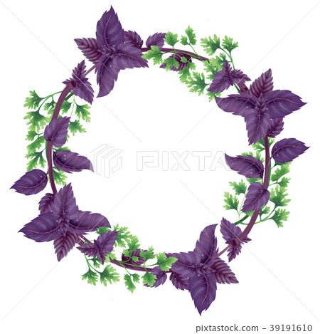 Round wreath of Basil and green parsley 39191610