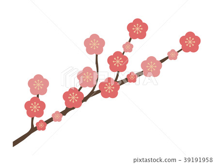 Cherry Blossoms Cherry Blossoms 39191958