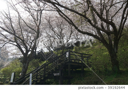 1803 Ajisai Park 1803 Ajisai Park 39192644