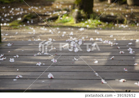 1803 Ajisai Park 1803 Ajisai Park 39192652