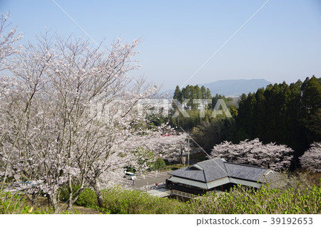 1803 Ajisai Park 1803 Ajisai Park 39192653