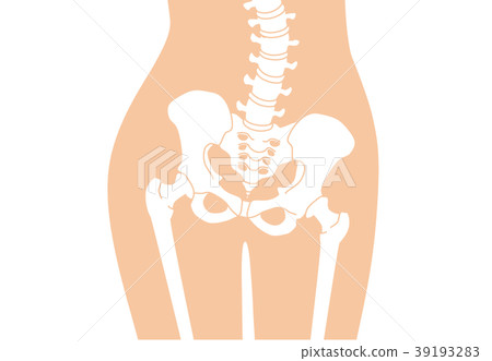 人體骨骼骷髏膚色 39193283