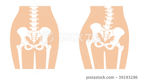 Human skeleton Skeleton skin color 39193286