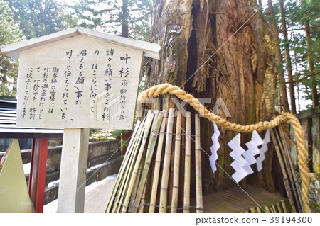 Kana Sugi Kana Sugi 39194300