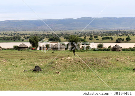 Tanzania original scenery 39194491