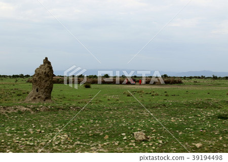 Tanzania original scenery Tanzania original scenery 39194498