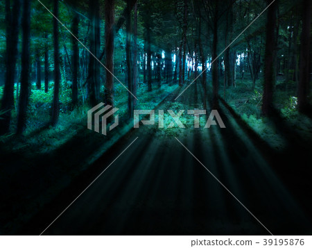 Hayashi and Hikari 39195876