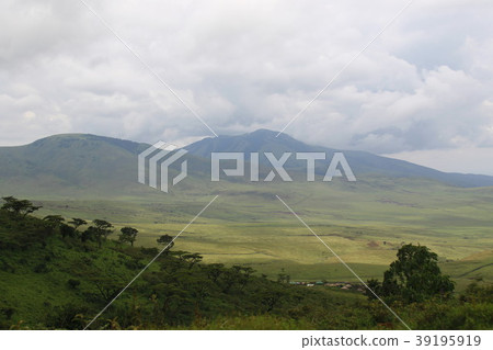 恩戈羅恩戈羅國家公園 恩戈羅恩戈羅國家公園 39195919